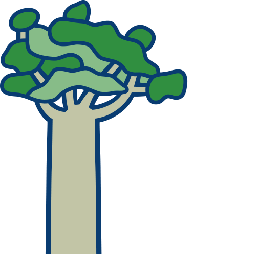 Tindall Annual Report